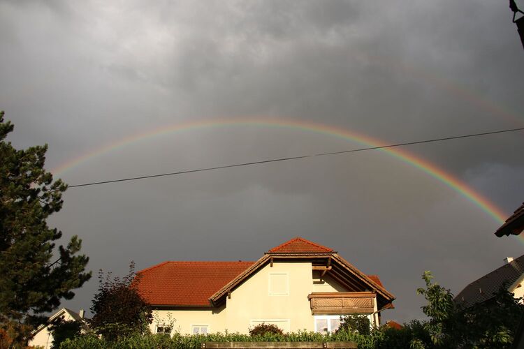 Van Gogh Kreativwettbewerb - Helmut aus Perg