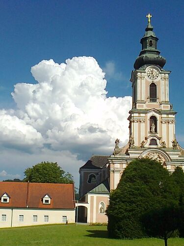 Van Gogh Kreativwettbewerb - Anna aus Linz-Land
