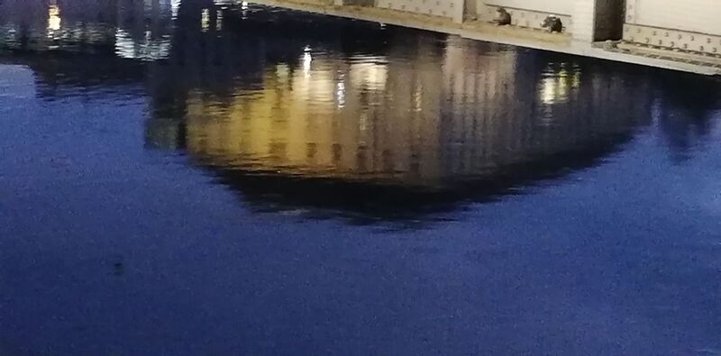 Van Gogh Kreativwettbewerb - Anna aus Linz