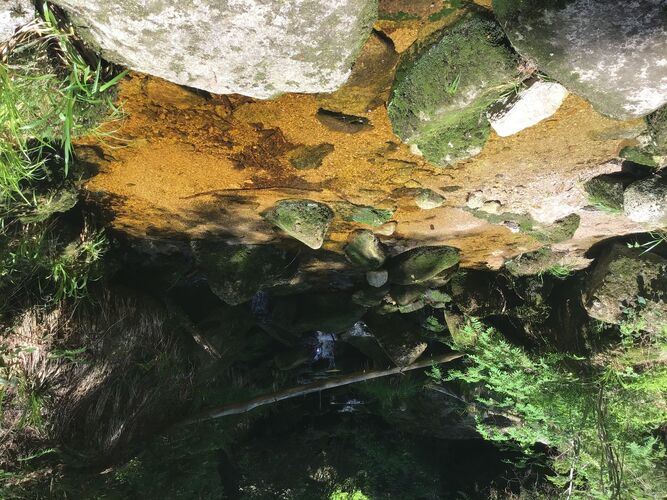 Van Gogh Kreativwettbewerb - Hermann aus Rohrbach