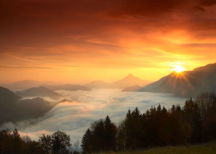 Van Gogh Kreativwettbewerb - Wolfram aus Steyr