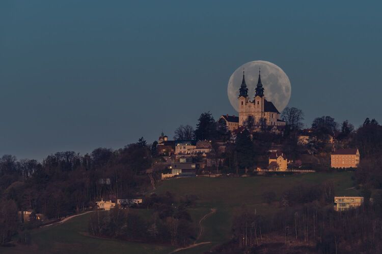 Van Gogh Kreativwettbewerb - Mike aus Linz