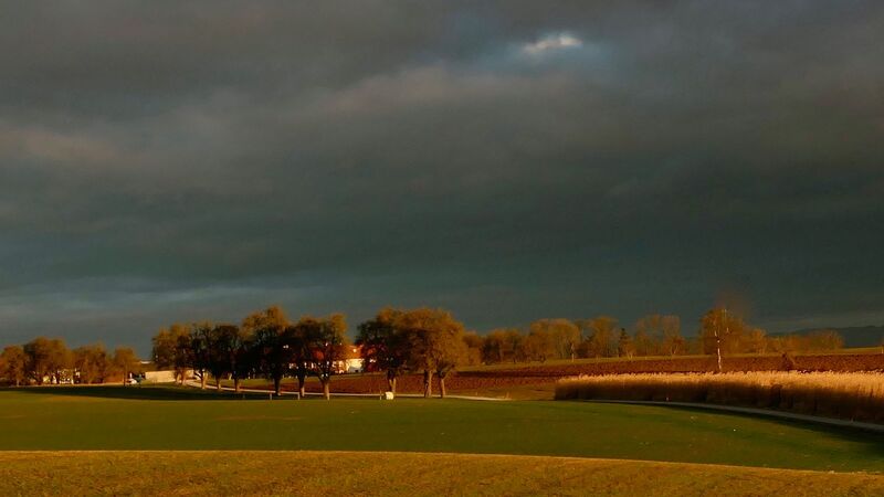 Van Gogh Kreativwettbewerb - Hubert aus Enns