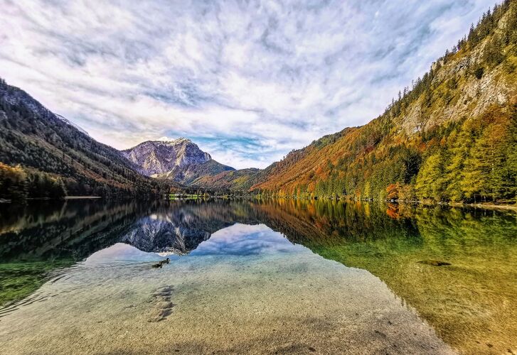 Van Gogh Kreativwettbewerb - Elisabeth aus Perg