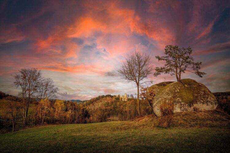 Van Gogh Kreativwettbewerb - Elisabeth aus Perg