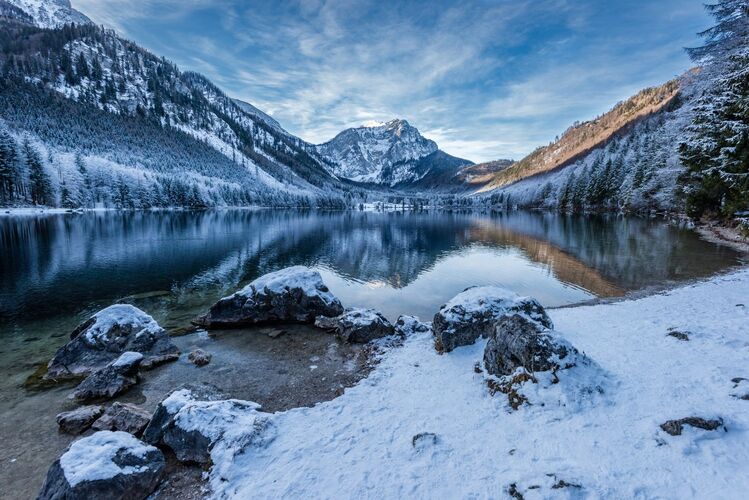 Van Gogh Kreativwettbewerb - Mike aus Linz