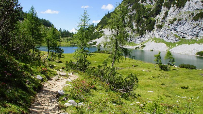 Van Gogh Kreativwettbewerb - Harald aus Perg