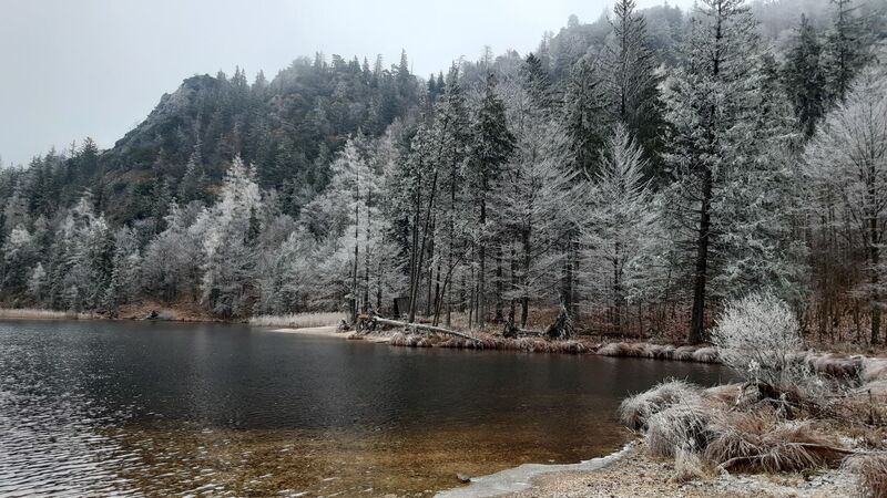 Van Gogh Kreativwettbewerb - Harald  aus Perg