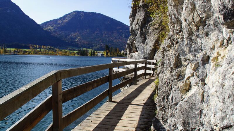 Van Gogh Kreativwettbewerb - Harald  aus Perg