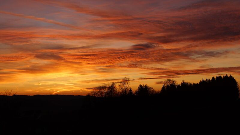 Van Gogh Kreativwettbewerb - Harald aus Perg