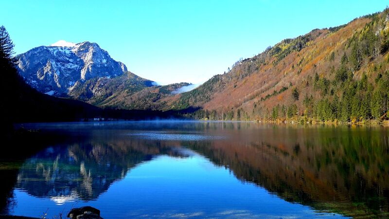 Van Gogh Kreativwettbewerb - Harald aus Perg