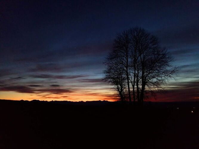 Van Gogh Kreativwettbewerb - Anna aus Braunau