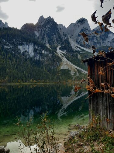 Van Gogh Kreativwettbewerb - Anna aus Braunau