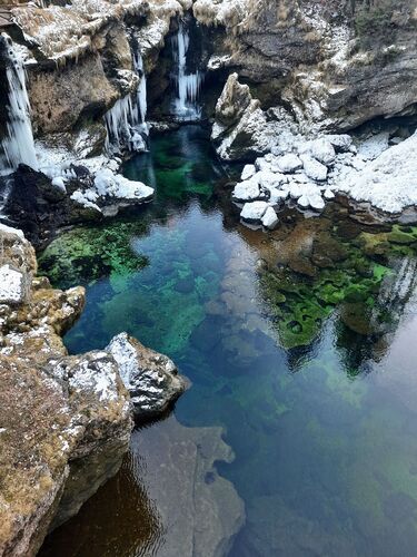 Van Gogh Kreativwettbewerb - Anna aus Braunau