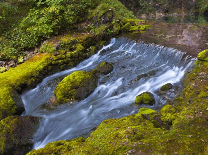 Van Gogh Kreativwettbewerb - Karl aus Linz-Land