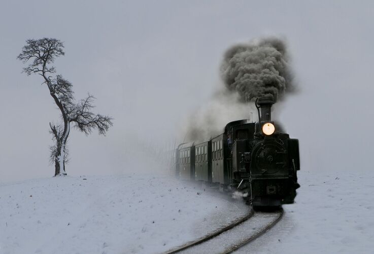 Van Gogh Kreativwettbewerb - Kurt aus Linz-Land