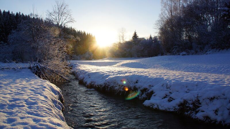Van Gogh Kreativwettbewerb - Harald aus Perg