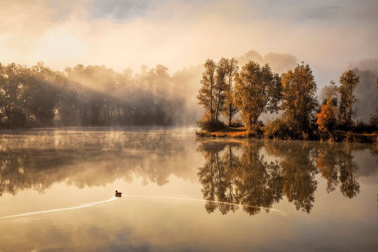 Van Gogh Kreativwettbewerb - Wolfgang aus Perg