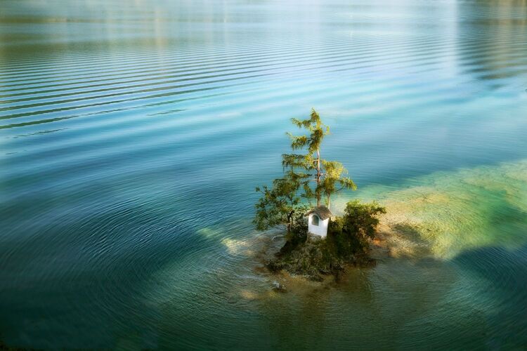 Van Gogh Kreativwettbewerb - Wolfgang aus Perg