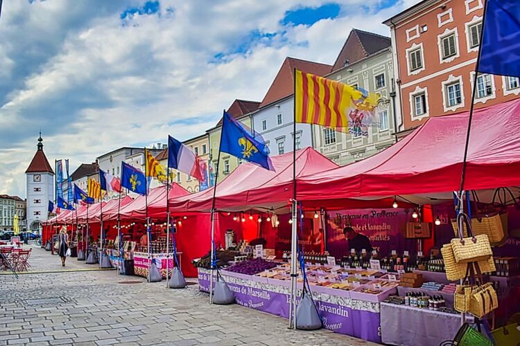 Van Gogh Kreativwettbewerb - Michael aus Wels