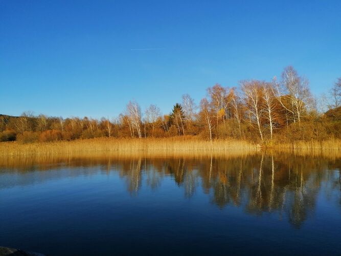 Van Gogh Kreativwettbewerb - Ulli aus Braunau