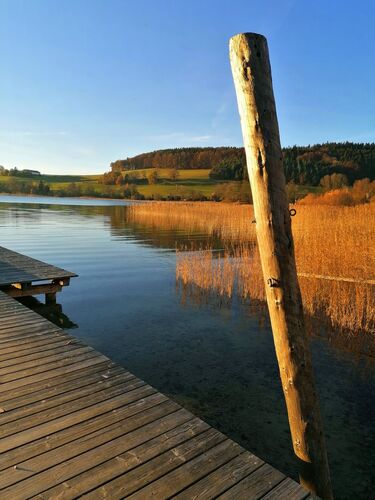 Van Gogh Kreativwettbewerb - Ulli aus Braunau