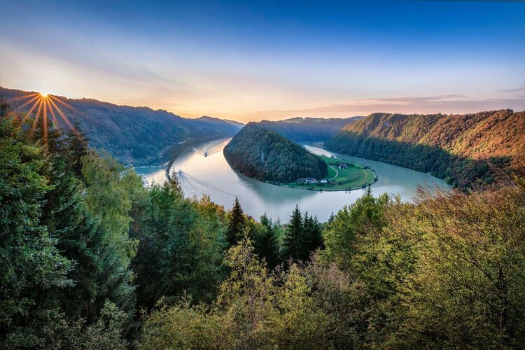 Van Gogh Kreativwettbewerb - Josef aus Perg