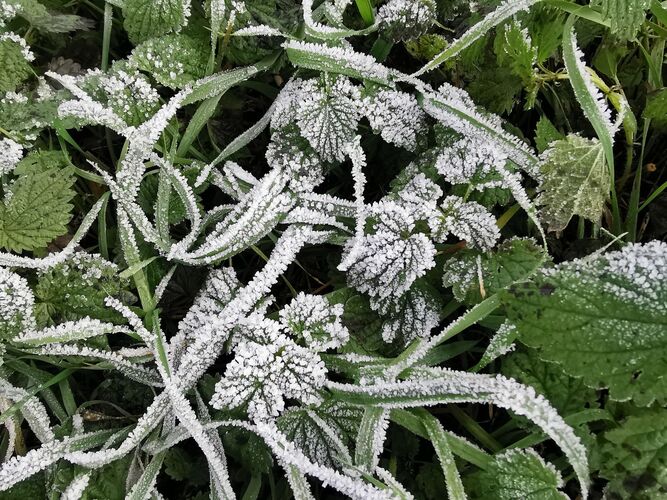 Van Gogh Kreativwettbewerb - Anna  aus Perg