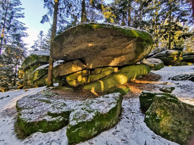 Van Gogh Kreativwettbewerb - Anna aus Perg