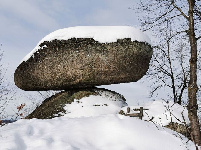 Van Gogh Kreativwettbewerb - Anna aus Perg