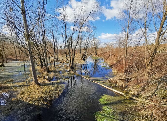 Van Gogh Kreativwettbewerb - Anna aus Perg