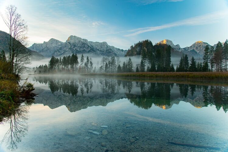 Van Gogh Kreativwettbewerb - Mike aus Linz