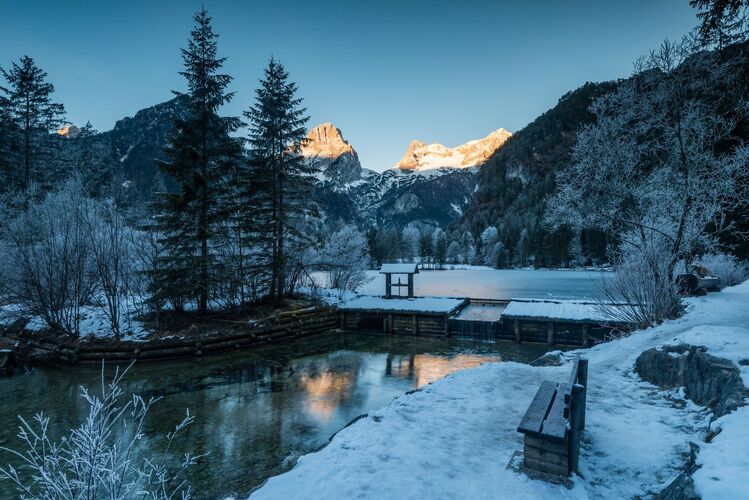 Van Gogh Kreativwettbewerb - Mike aus Linz