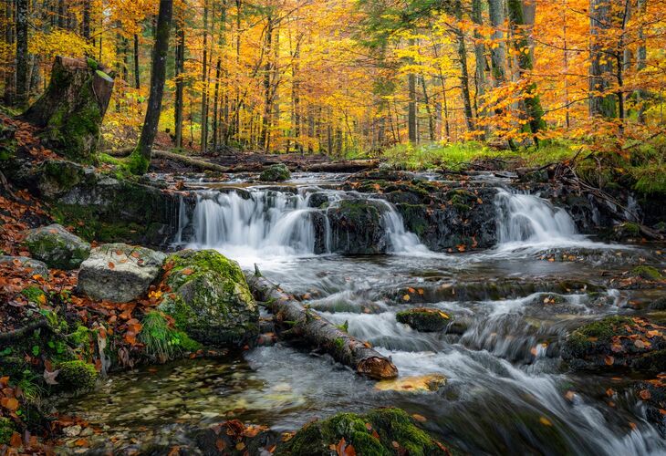 Van Gogh Kreativwettbewerb - Günther aus Perg