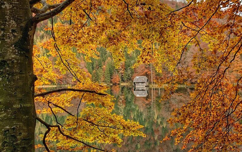 Van Gogh Kreativwettbewerb - Josef  aus Perg