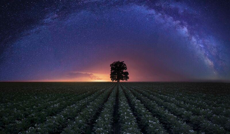 Van Gogh Kreativwettbewerb - Josef  aus Perg