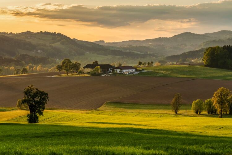 Van Gogh Kreativwettbewerb - Günther aus Perg
