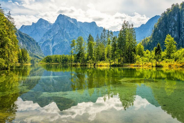 Van Gogh Kreativwettbewerb - Günther aus Perg