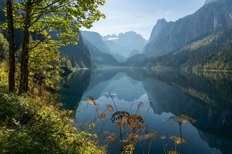 Van Gogh Kreativwettbewerb - Günther aus Perg