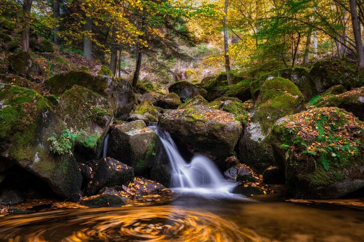 Van Gogh Kreativwettbewerb - Günther aus Perg