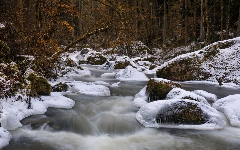 Van Gogh Kreativwettbewerb - Günther aus Perg