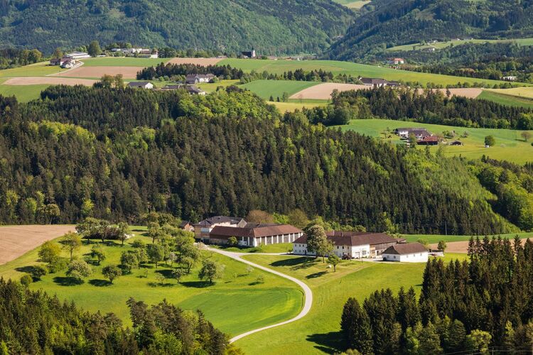 Van Gogh Kreativwettbewerb - Günther aus Perg