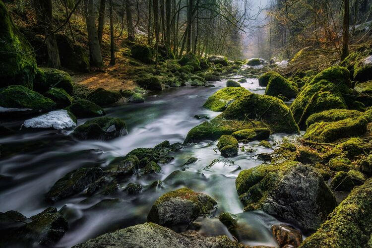 Van Gogh Kreativwettbewerb - Günther aus Perg