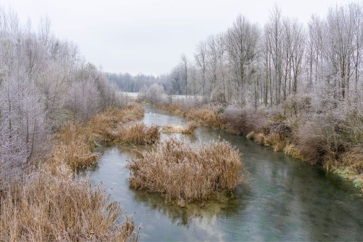 Van Gogh Kreativwettbewerb - Günther aus Perg