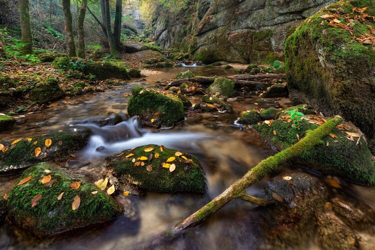 Van Gogh Kreativwettbewerb - Günther aus Perg