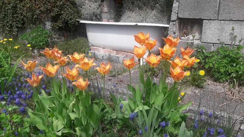 Van Gogh Kreativwettbewerb - Elisabeth aus Urfahr-Umgebung