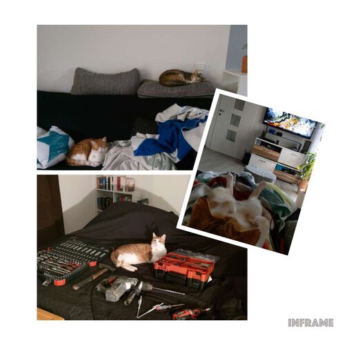 Meine erste Wohnung und ich - Michaela aus Braunau