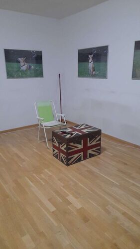 Meine erste Wohnung und ich - Daniela aus Linz