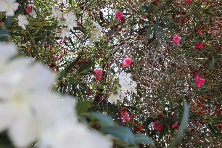 Young at Art - Norbert J. ( 23 ) aus Wels