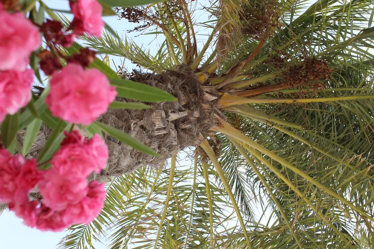 Young at Art - Norbert J. ( 23 ) aus Wels